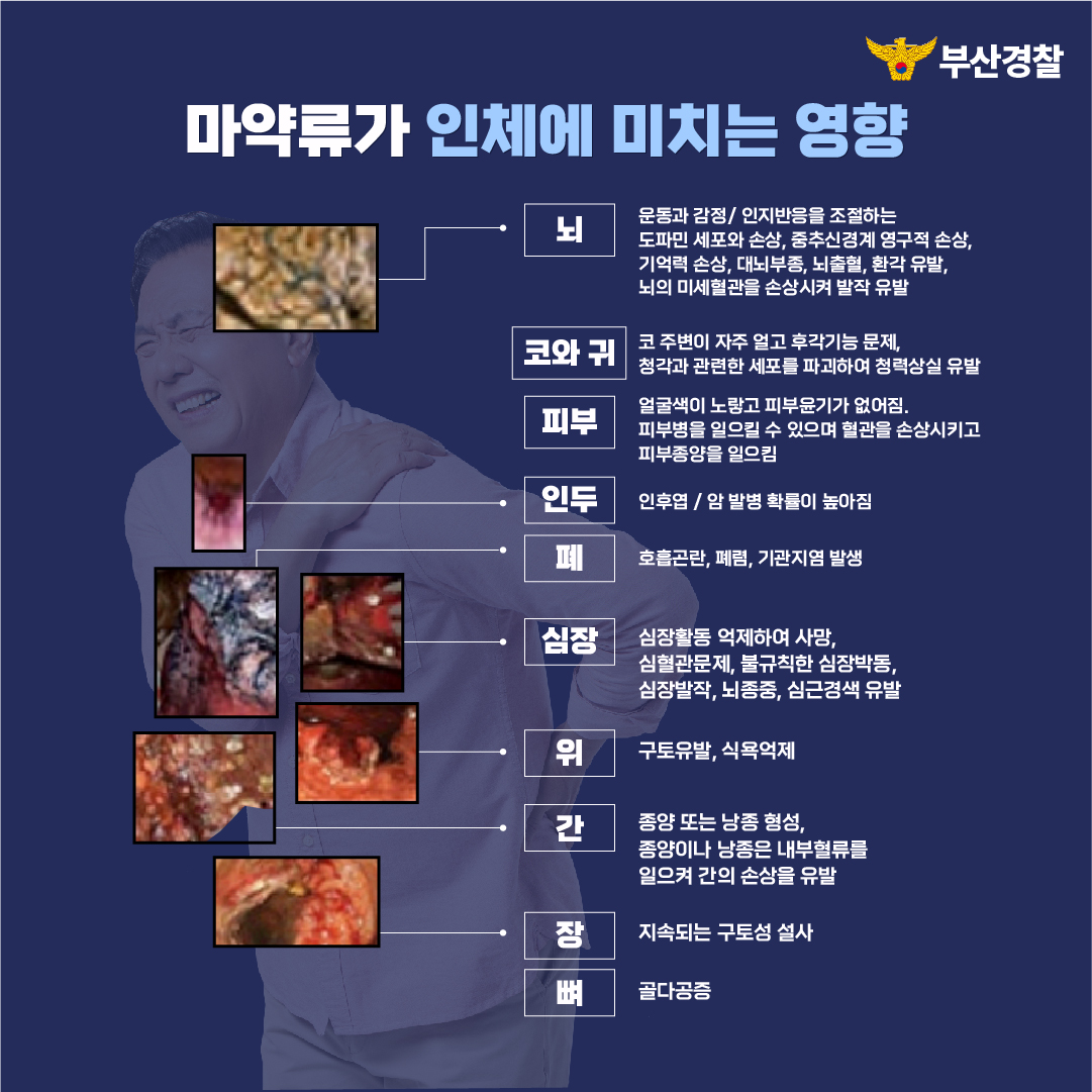 8b547aa4870c6b7f82288c8423445156_1723623896_7314.jpg 8b547aa4870c6b7f82288c8423445156_1723623896_7314.jpg